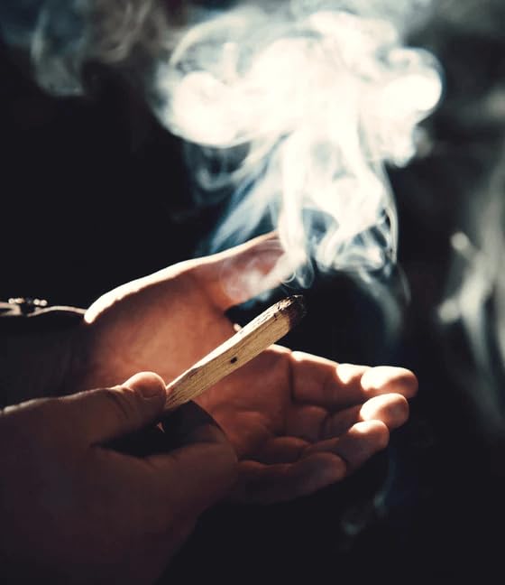 Palo Santo Incense Sticks from Ecuador for Healing and Stress Relief | 100% Natural, Wild Harvested, Available in Packs of 2 to 20