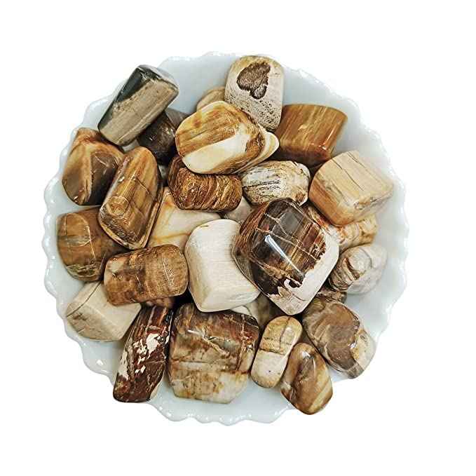Petrified Wood Healing Crystals - Divinity Crystals Natural Tumbled Stone Pebbles for Earth Energy, Vastu, Fengshui, Aura, Chakra, and Reiki Healing Default Title