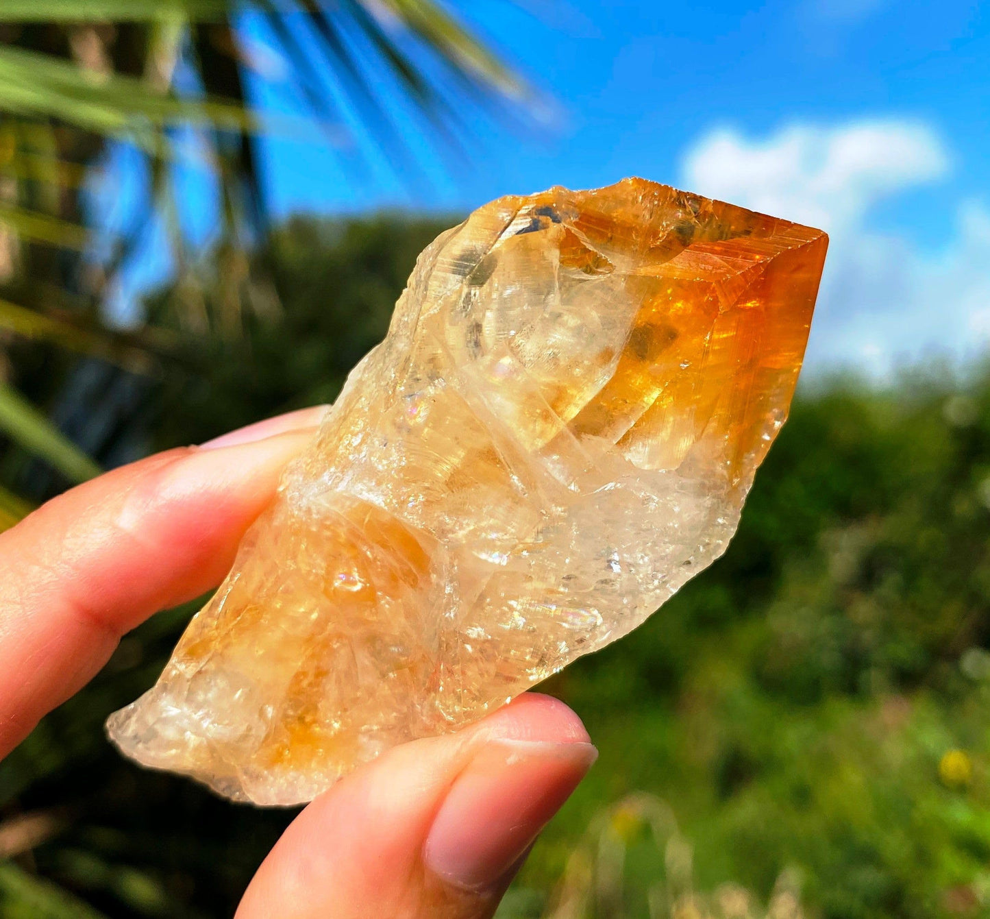 Divine Pure Natural Citrine Points Stone Crystal for Vastu, Healing, Spirituality, Business Success, and Prosperity - 50 Grams