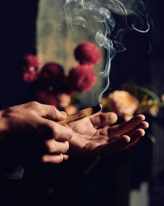 Palo Santo Incense Sticks from Ecuador for Healing and Stress Relief | 100% Natural, Wild Harvested, Available in Packs of 2 to 20