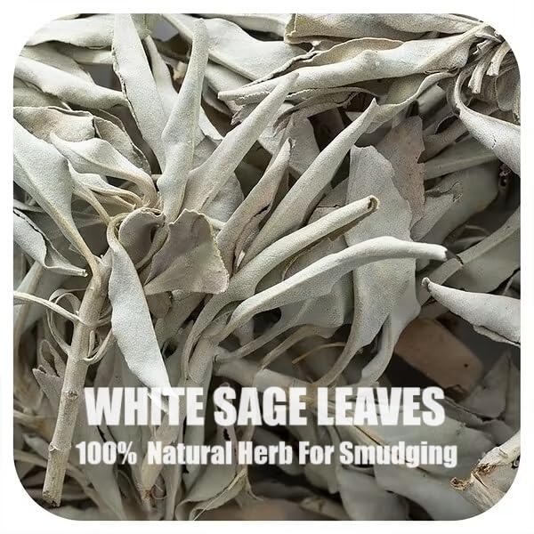 White Sage Leaves | Natural Pure White White Sage Dry Smudge Leaves - for Smudging Ancient Rituals Home Cleansing and Purification, Incense Meditation - IGL Jewels