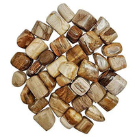 Petrified Wood Healing Crystals - Divinity Crystals Natural Tumbled Stone Pebbles for Earth Energy, Vastu, Fengshui, Aura, Chakra, and Reiki Healing