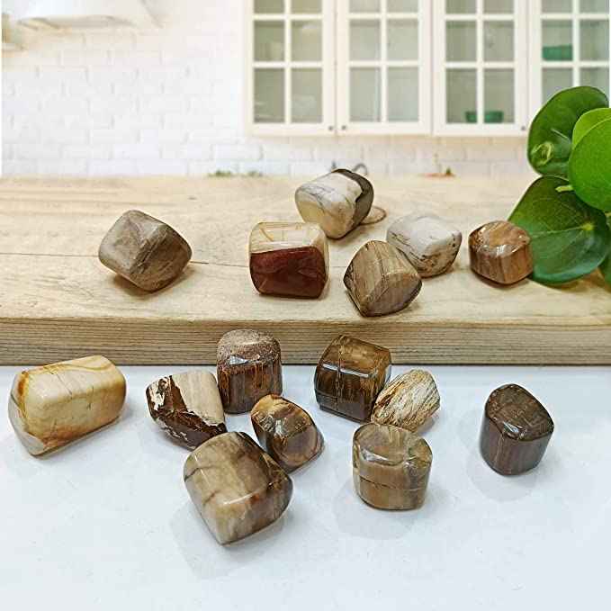 Petrified Wood Healing Crystals - Divinity Crystals Natural Tumbled Stone Pebbles for Earth Energy, Vastu, Fengshui, Aura, Chakra, and Reiki Healing