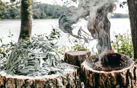 White Sage Leaves | Natural Pure White White Sage Dry Smudge Leaves - for Smudging Ancient Rituals Home Cleansing and Purification, Incense Meditation - IGL Jewels