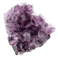 Divinity Crystals Amethyst Natural Cluster - 250 Carat+ Geode Rough Stones for Reiki, Pooja, Crystal Healing, and Meditation Default Title