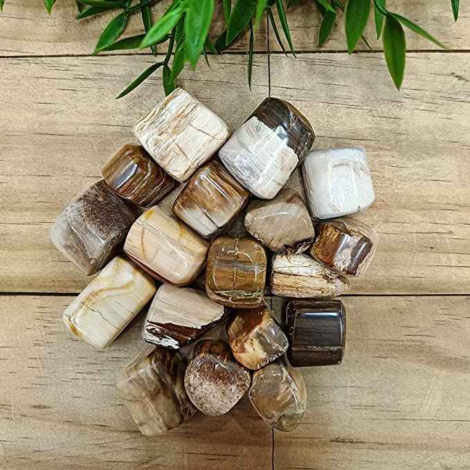 Petrified Wood Healing Crystals - Divinity Crystals Natural Tumbled Stone Pebbles for Earth Energy, Vastu, Fengshui, Aura, Chakra, and Reiki Healing