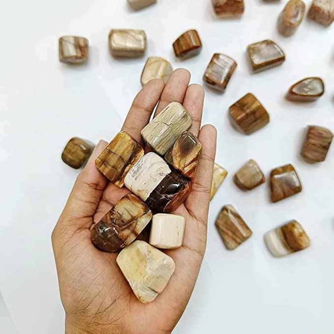 Petrified Wood Healing Crystals - Divinity Crystals Natural Tumbled Stone Pebbles for Earth Energy, Vastu, Fengshui, Aura, Chakra, and Reiki Healing